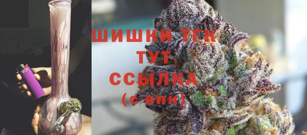 прущие грибы Алзамай